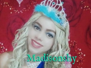 Madisonshy