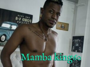 Mamba_king60