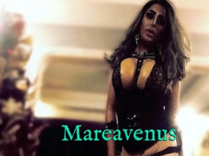 Mareavenus