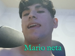 Mario_neta