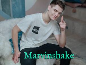 Marvinshake