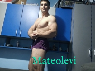 Mateolevi