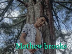 Mathew_brooks