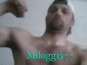 Mdogg1977