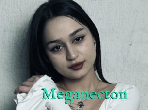 Meganecton