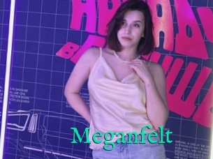 Meganfelt