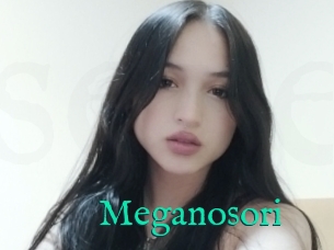 Meganosori