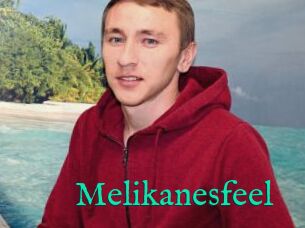 Melikanesfeel