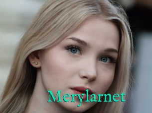 Merylarnet