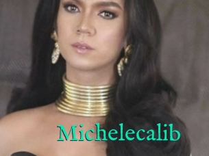 Michelecalib