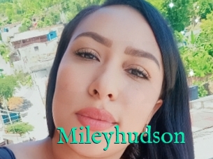 Mileyhudson