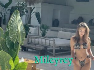 Mileyrey