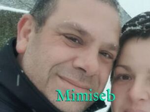 Mimiseb