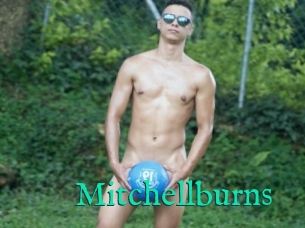 Mitchellburns