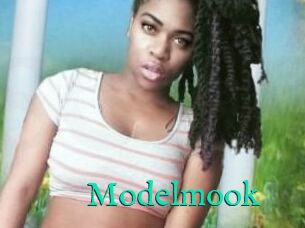 Modelmook