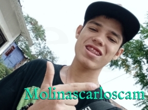 Molinascarloscam