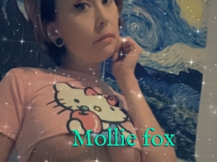 Mollie_fox