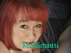 Mollimausi