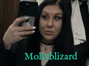 Mollyblizard