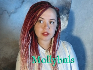 Mollybuls