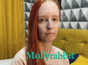 Mollyrabbit