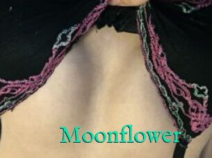 Moonflower