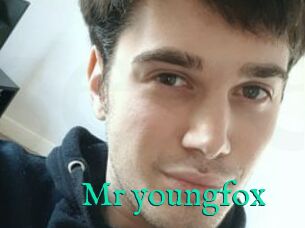 Mr_youngfox