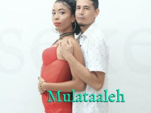 Mulataaleh