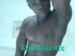 Mulatohotfu