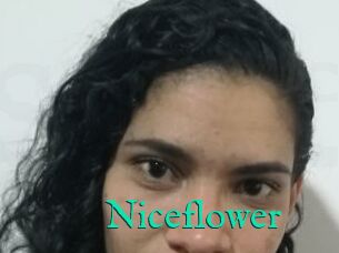 Nice_flower