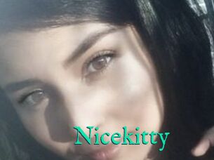 Nicekitty