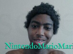 NintendoMarioMario