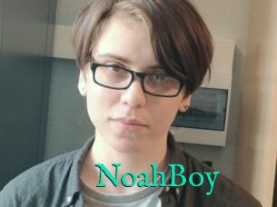 NoahBoy