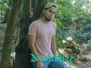 NoahDiaz