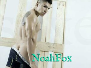 NoahFox