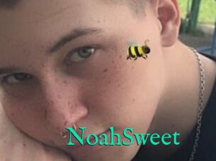 NoahSweet