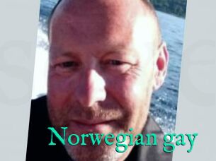 Norwegian_gay