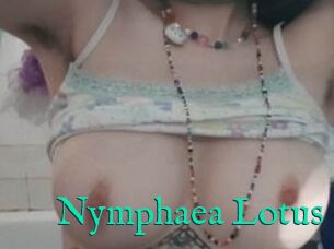 Nymphaea_Lotus