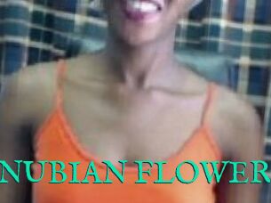 _NUBIAN_FLOWER_