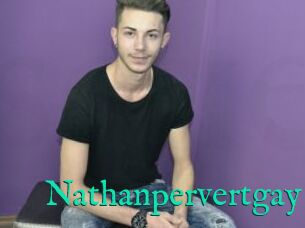 Nathanpervertgay