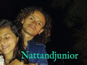 Nattandjunior