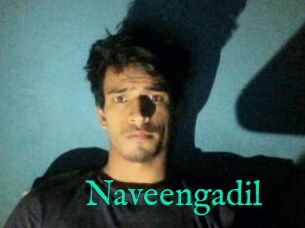 Naveengadil