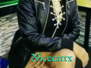 Nicecattx