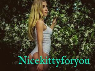 Nicekittyforyou