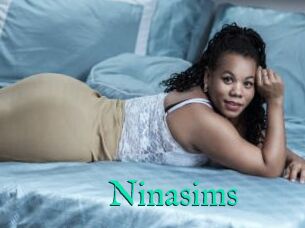 Ninasims