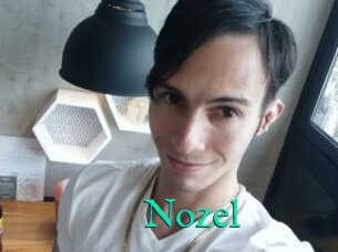 Nozel