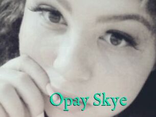 Opay_Skye