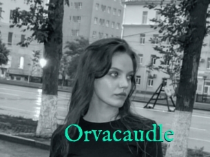 Orvacaudle