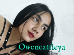 Owencattleya