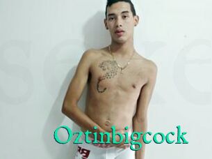 Oztinbigcock